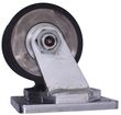 SWIVEL CASTER ASSEMBLY, 5 X 2-7/8 product photo